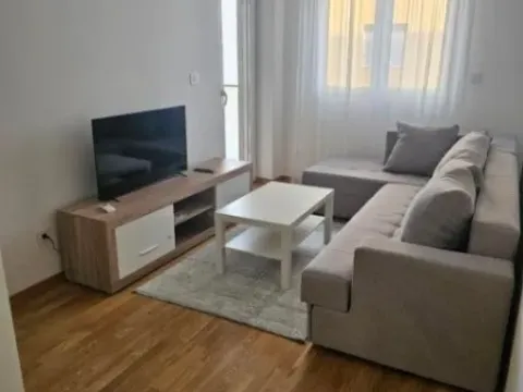 Izdavanje, jednosoban stan, 40m², Ljubović, Podgorica - image 2