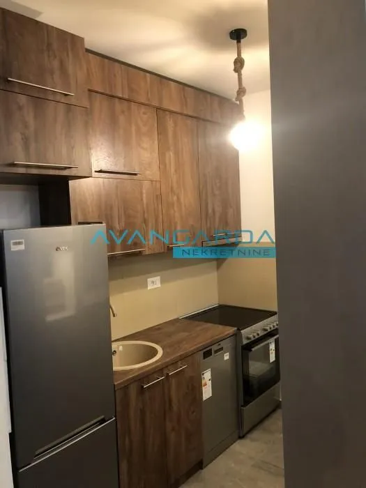 Izdavanje, stan, 46m², Dorćol Sve Podlokacije, Beograd
