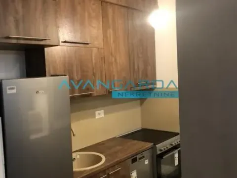 Izdavanje, stan, 46m², Dorćol Sve Podlokacije, Beograd - image 7