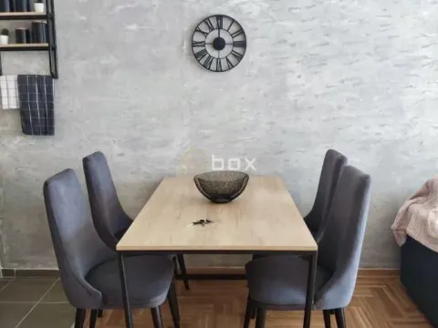 Rent, one bedroom apartment, 45m², Pantelej, Niš - image 13