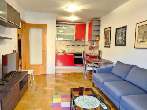 Izdavanje, jednosoban stan, 45m², Stari Aerodrom, Podgorica - image 5