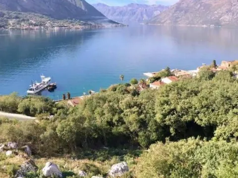 Prodaja, plac, 2700m², Dobrota, Kotor - image 3