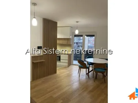 Izdavanje, dvosoban stan, 52m², Južni Bulevar, Vračar Sve Podlokacije - image 4