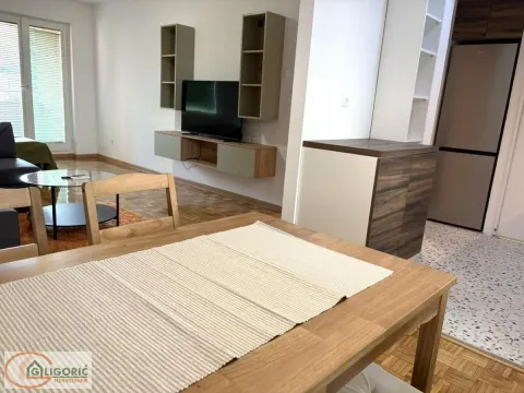 Rent, one bedroom apartment, 45m², Lion, Zvezdara Sve Podlokacije - image 5