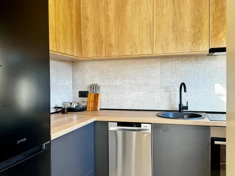 Rent, one bedroom apartment, 65m², Tološi, Podgorica - image 6