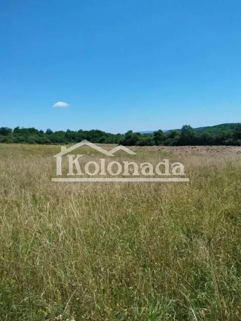 Prodaja, plac, 21800m², Babe, Sopot