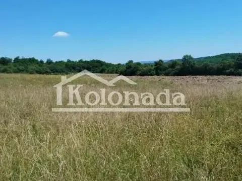 Sale, land lot, 21800m², Babe, Sopot - image 8