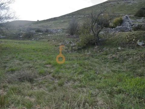 Prodaja, plac, 4307m², Cetinje, Crna Gora - image 2