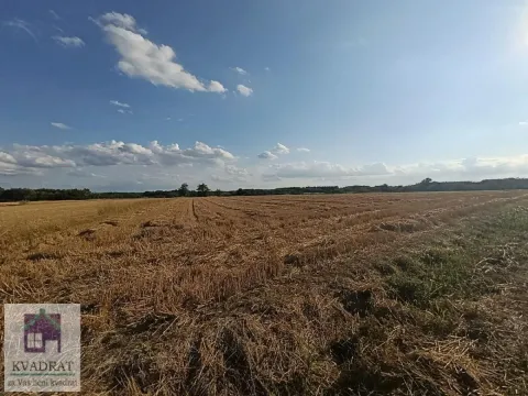 Zemljište in Trstenica