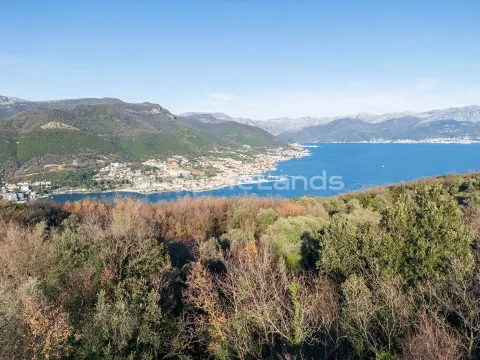 Prodaja, plac, 1850m², Zabrđe, Herceg Novi - image 2
