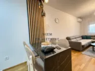 Izdavanje, jednosoban stan, 46m², Stari Aerodrom, Podgorica - image 9