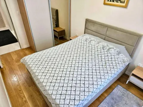 Izdavanje, jednosoban stan, 47m², Central Point, Podgorica - image 8