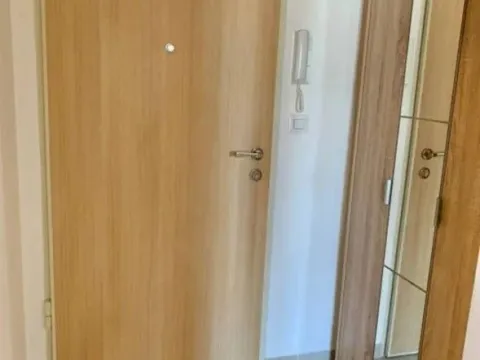 Rent, one bedroom apartment, 46m², Stari Aerodrom, Podgorica - image 2