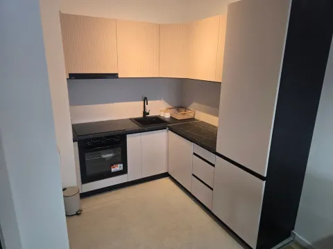 Izdavanje, jednosoban stan, 47m², Stari Aerodrom, Podgorica - image 1