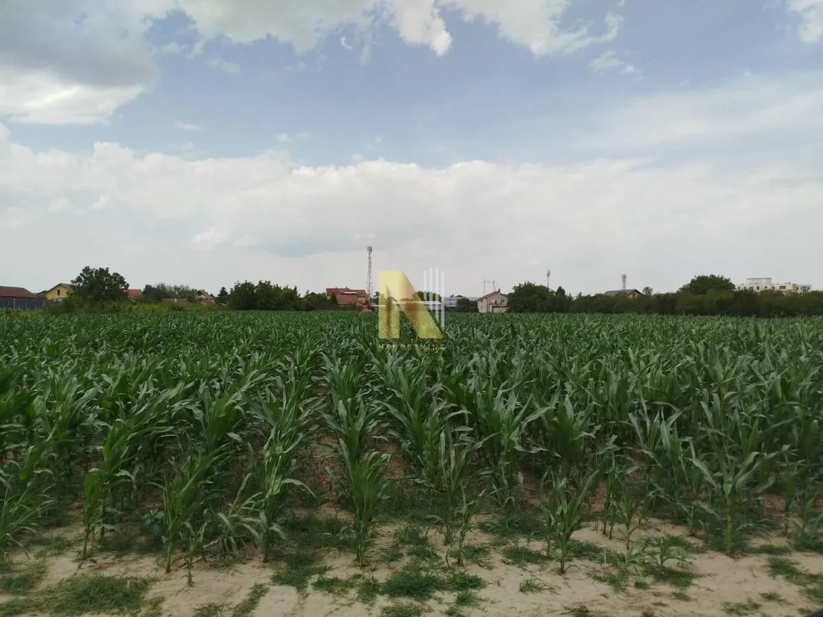 Prodaja, plac, 723m², Veternik, Novi Sad Sve Podlokacije