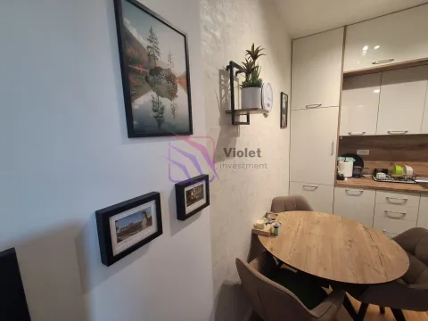 Rent, one bedroom apartment, 44m², Tološi, Podgorica - image 8