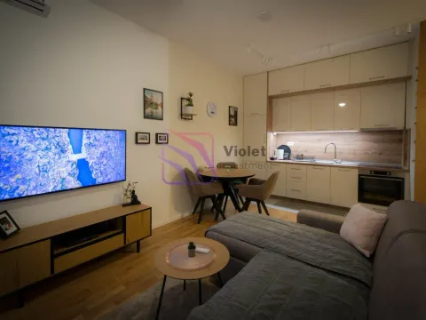 Rent, one bedroom apartment, 44m², Tološi, Podgorica - image 4