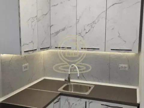 Rent, one bedroom apartment, 45m², Veternik, Novi Sad Sve Podlokacije - image 10