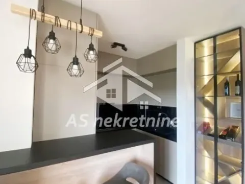 Izdavanje, dvosoban stan, 50m², Hala Pionir, Palilula Sve Podlokacije - image 5