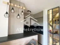 Izdavanje, dvosoban stan, 50m², Hala Pionir, Palilula Sve Podlokacije - image 5