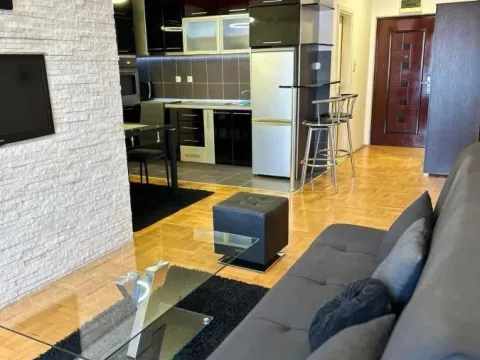 Rent, one bedroom apartment, 45m², Medijana, Niš - image 3