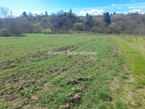 Sale, land lot, 1900m², Beočin, Srbija - image 2