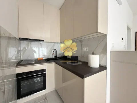 Rent, studio apartment, 30m², Zabjelo, Podgorica - image 6