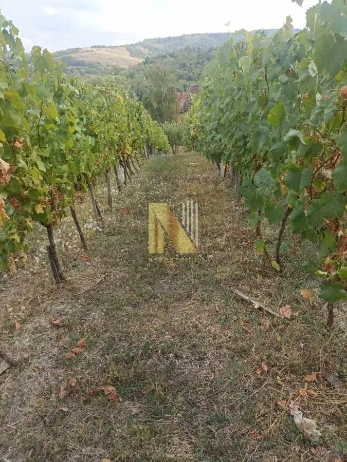 Prodaja, plac, 3922m², Beočin, Srbija