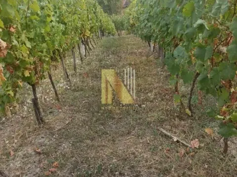 Prodaja, plac, 3900m², Beočin, Srbija - image 2