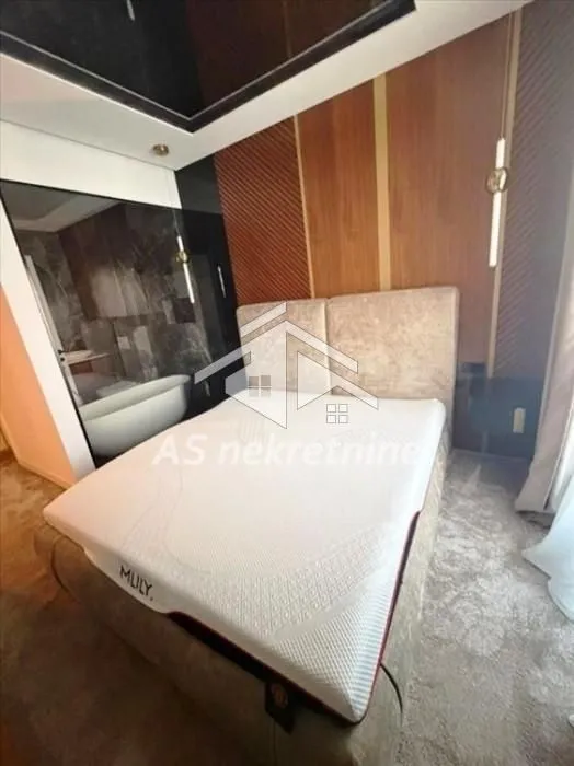 Rent, four bedroom apartment, 275m², Vračar Hram, Vračar Sve Podlokacije