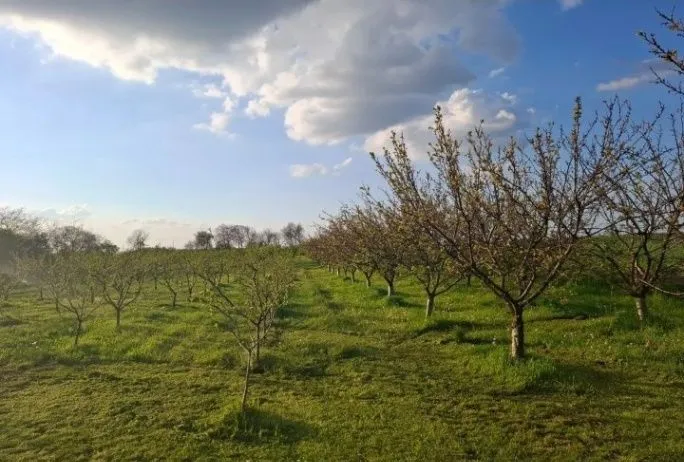 Prodaja, plac, 11510m², Kikinda, Srbija