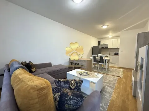 Izdavanje, jednosoban stan, 50m², Stari Aerodrom, Podgorica - image 2