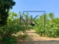 Sale, land lot, 1050m², Zabjelo, Podgorica - image 8