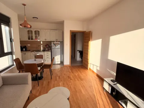 Izdavanje, dvosoban stan, 61m², Tološi, Podgorica - image 4