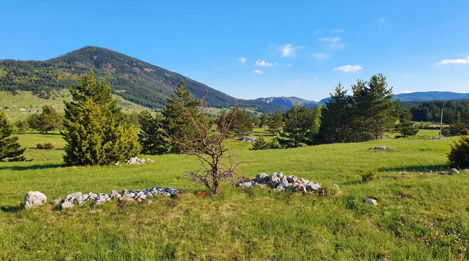 Prodaja, plac, 5000m², Žabljak, Crna Gora