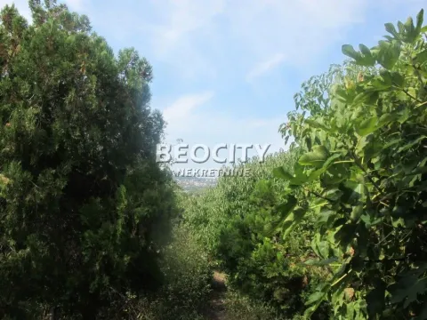 Sale, land lot, 14m², Višnjica, Palilula Sve Podlokacije