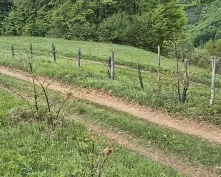 Zemljište in Andrijevica