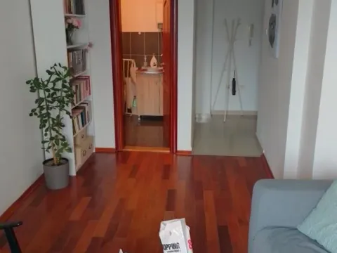 Prodaja, jednosoban stan, 28m², Bulevar Oslobodjenja, Novi Sad Sve Podlokacije - image 2