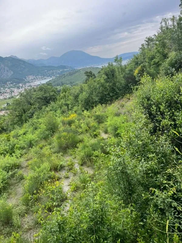 Prodaja, plac, 1690m², Zagrad, Berane