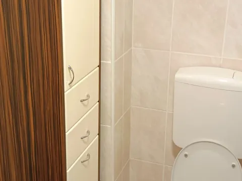 Izdavanje, dvosoban stan, 45m², Zvezdara Sve Podlokacije, Beograd - image 10