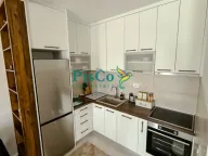 Prodaja, jednosoban stan, 51m², Zabjelo, Podgorica - image 3