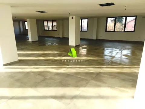 Izdavanje, poslovni prostor, 800m², Medijana, Niš - image 2