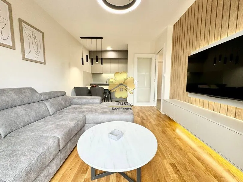 Rent, one bedroom apartment, 47m², Pobrežje, Podgorica
