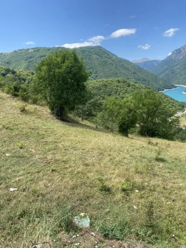 Prodaja, plac, 17000m², Plužine, Crna Gora