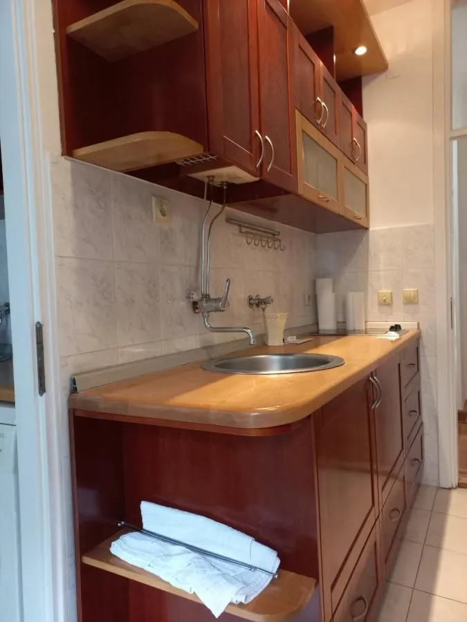 Rent, four bedroom apartment, 82m², Slavija, Vračar Sve Podlokacije