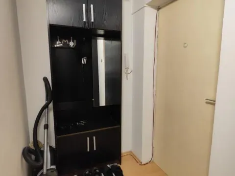 Izdavanje, jednosoban stan, 38m², Tabane, Jagodina - image 10