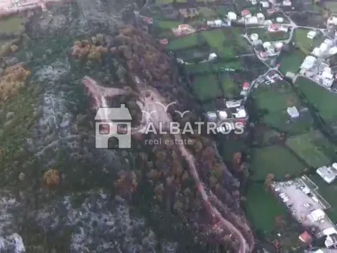 Prodaja, plac, 10000m², Zaljevo, Bar - image 5