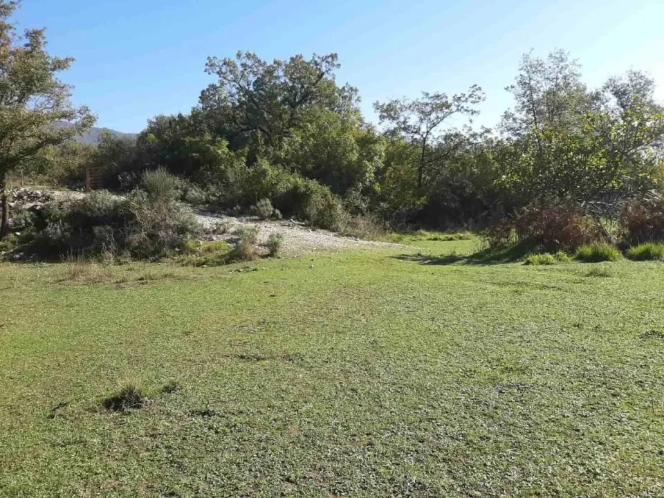 Sale, land lot, 6200m², Podi, Herceg Novi