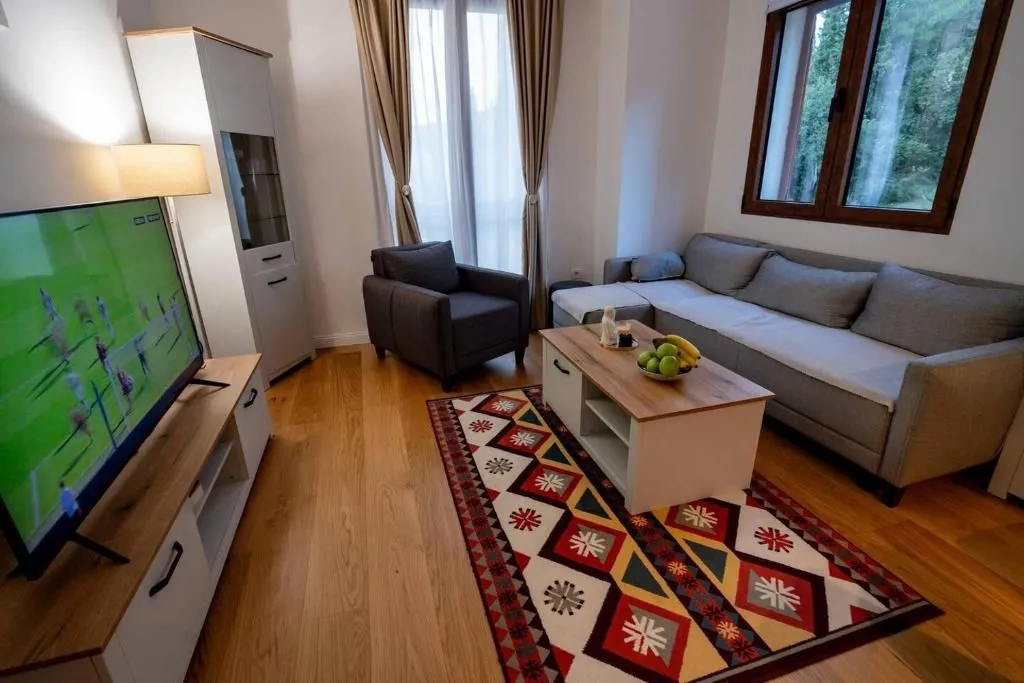 Rent, one bedroom apartment, 45m², Centar, Podgorica