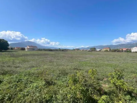 Sale, land lot, 7430m², Novo Selo, Danilovgrad - image 4